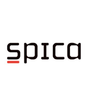 Špica